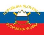 Ljubica Jelušič bi morala premisliti o odpustitvi sovražnega kadra iz Slovenske vojske