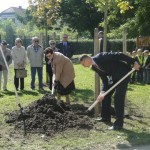 KAM BO LUKŠIČ NASELIL ROME?: Država predvideva povečanje števila romskih naselij